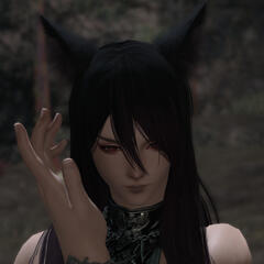 Yuuhi Kaori Admonished Assassin